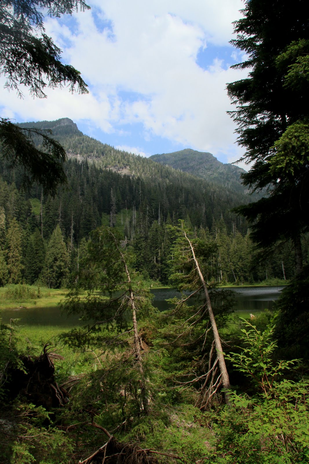 Serendipity and Orchids Lake Elizabeth